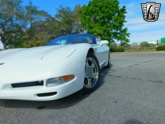 Corvette 18