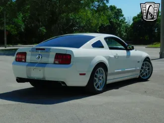 Mustang 7