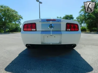 Mustang 14
