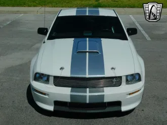 Mustang 16