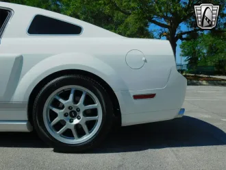 Mustang 20