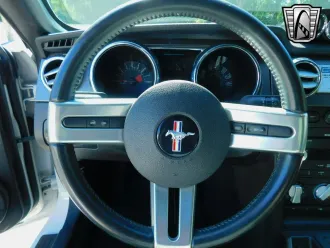 Mustang 23