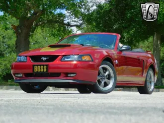 Mustang 8