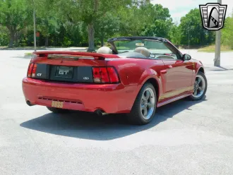Mustang 12
