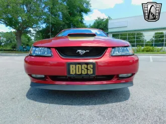Mustang 16