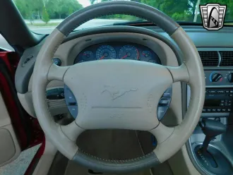 Mustang 24