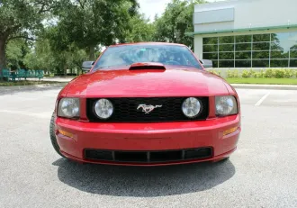 Mustang 10