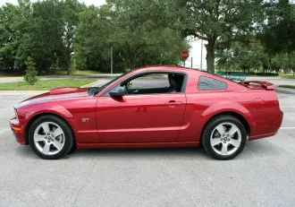 Mustang 15