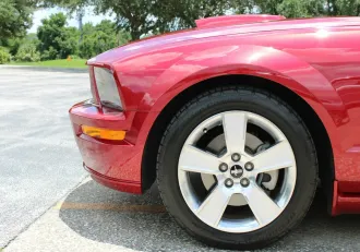 Mustang 17