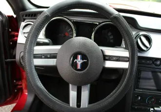Mustang 21
