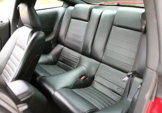 Mustang 23