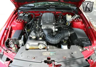 Mustang 26