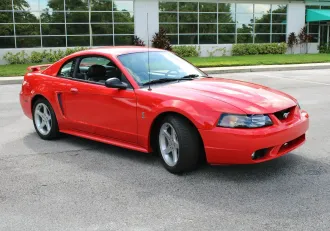 Mustang 8