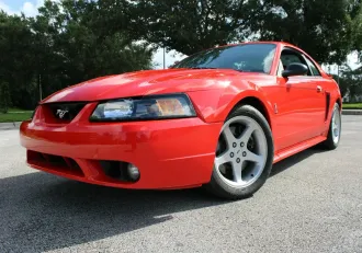 Mustang 11