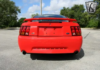 Mustang 15