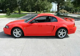 Mustang 16