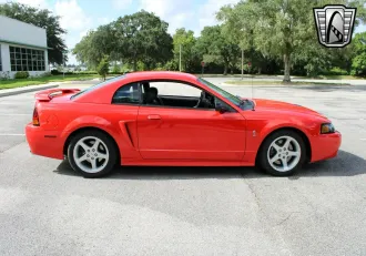 Mustang 17