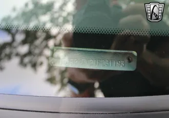 Mustang 20