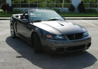Mustang 7