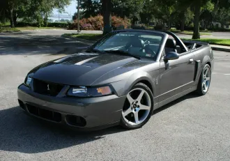 Mustang 8