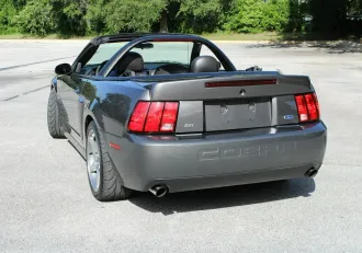 Mustang 10