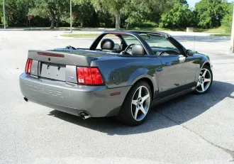 Mustang 11