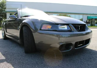 Mustang 13