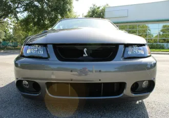 Mustang 14