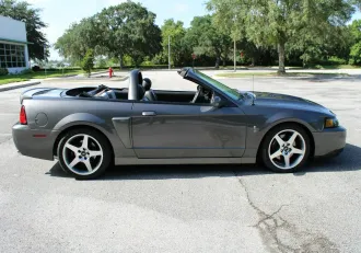 Mustang 16