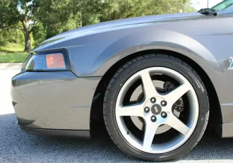 Mustang 17