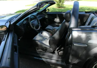 Mustang 20