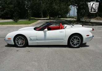 Corvette 19