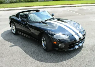Viper 13