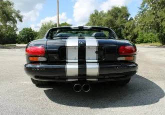 Viper 17