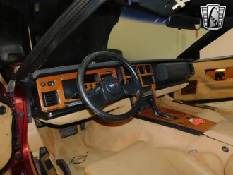Corvette 19