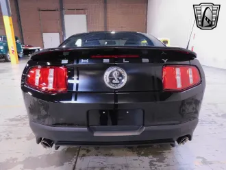 Mustang 3