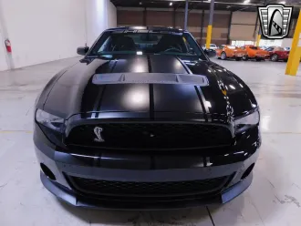 Mustang 6