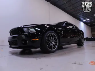 Mustang 7