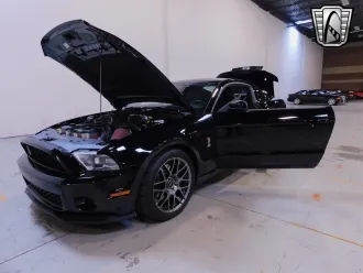 Mustang 12