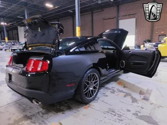 Mustang 15