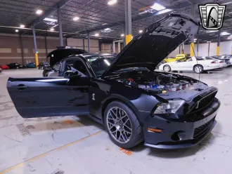 Mustang 16