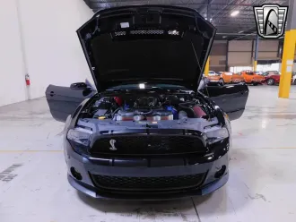 Mustang 17