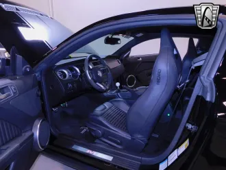Mustang 19