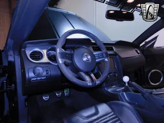 Mustang 21