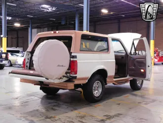 Bronco 19