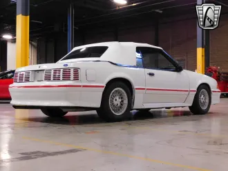 Mustang 13