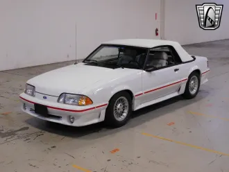 Mustang 14