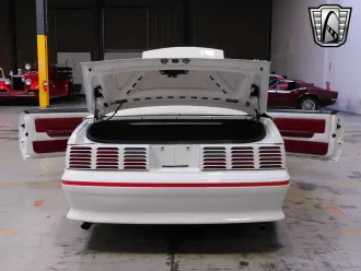 Mustang 18