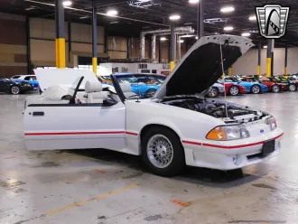 Mustang 20