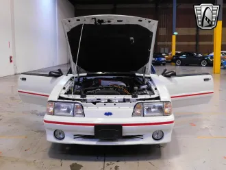 Mustang 21